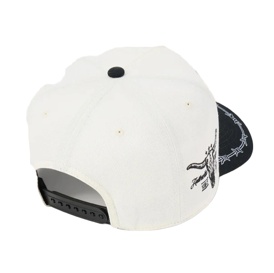 STETSON DESERT SCENE CAP