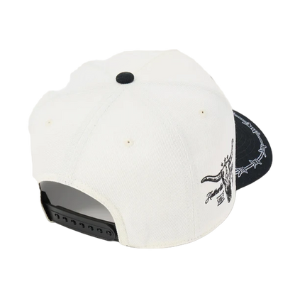 STETSON DESERT SCENE CAP