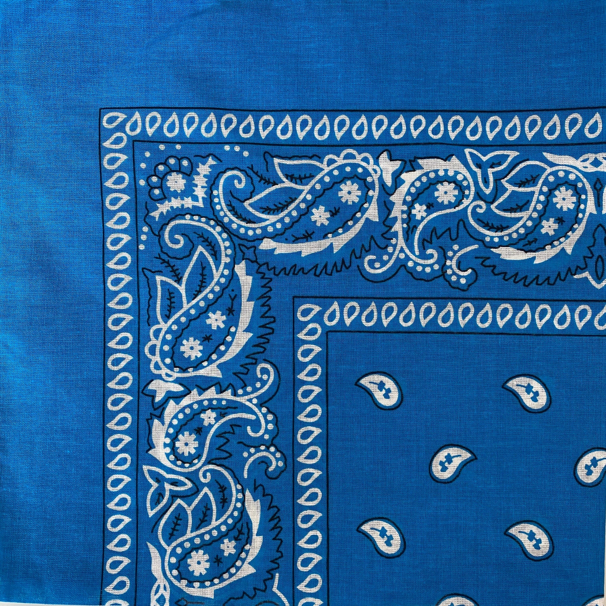 BANDANA- Blues