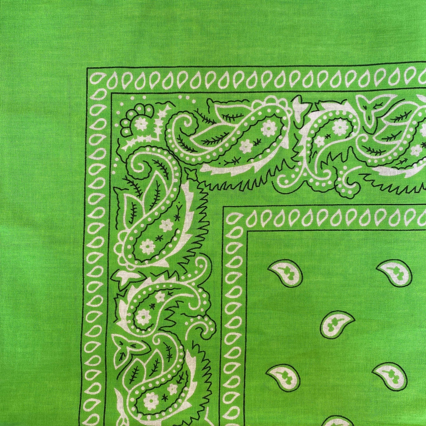 BANDANA - Greens